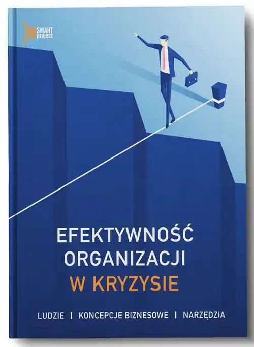Efektywność organizacji w kryzysie