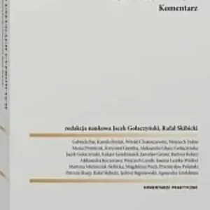Akt o usługach cyfrowych Komentarz