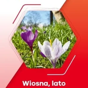 Pewny start. Poziom C. Wiosna, lato, zima KP